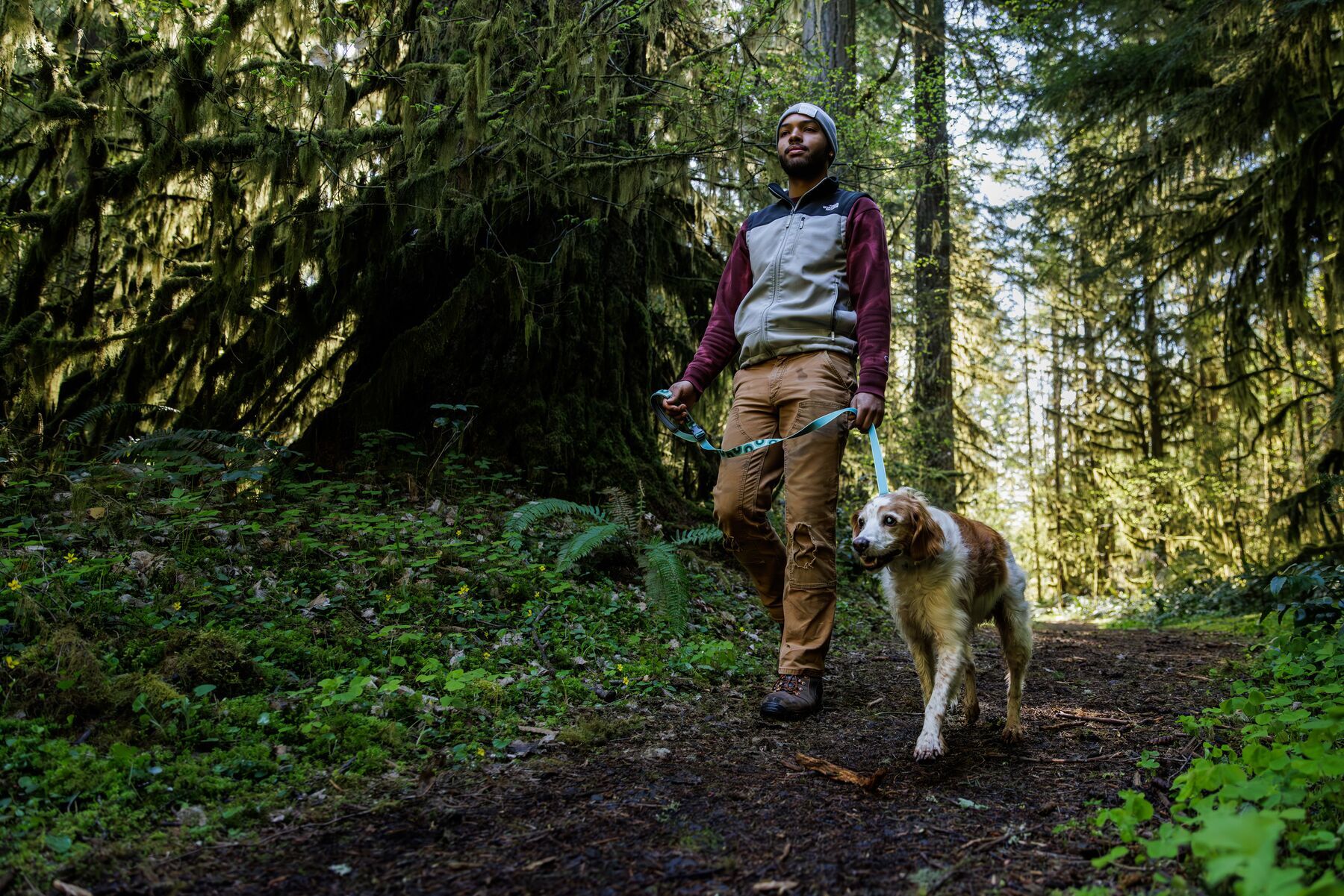 Ruffwear Hundeleinen Ruffwear Reflektierende Hundeleine Crag™ seegrün