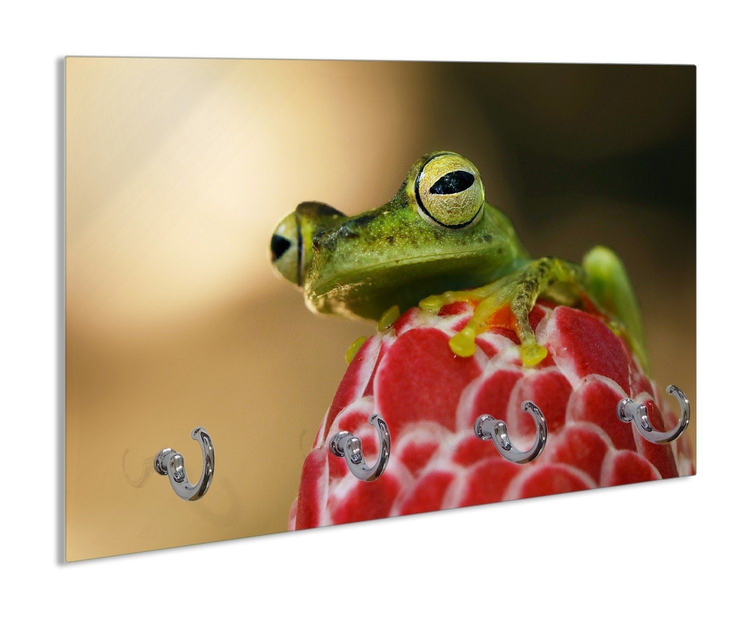 Wallario Schlüsselbrett Frosch sitzt auf einer Knospe, (inkl. Aufhängeset), 30x20cm, aus ESG-Sicherheitsglas