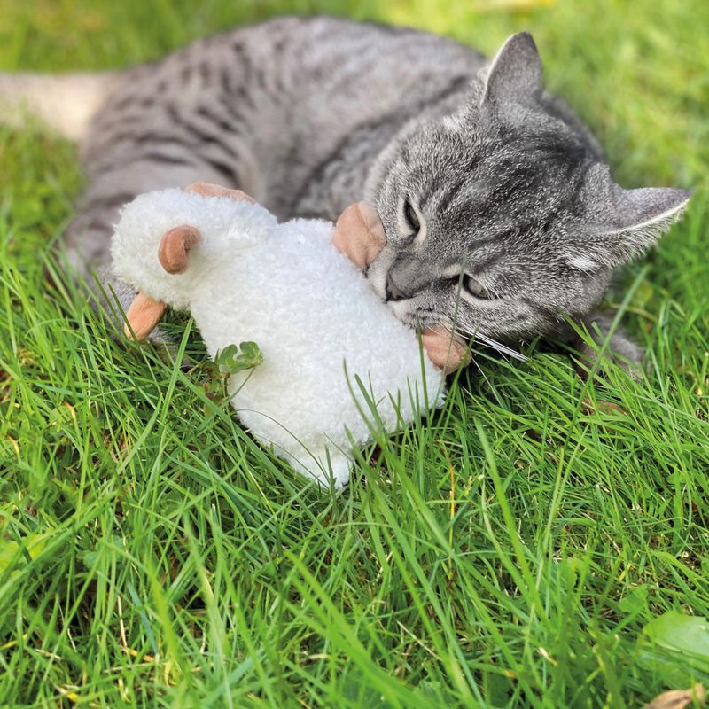 Aumüller Baldrian-Katzenspielkissen Schäfchen Sally