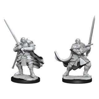 D&D Nolzur's Marvelous Miniatures: Half-Orc Paladin Male (2)