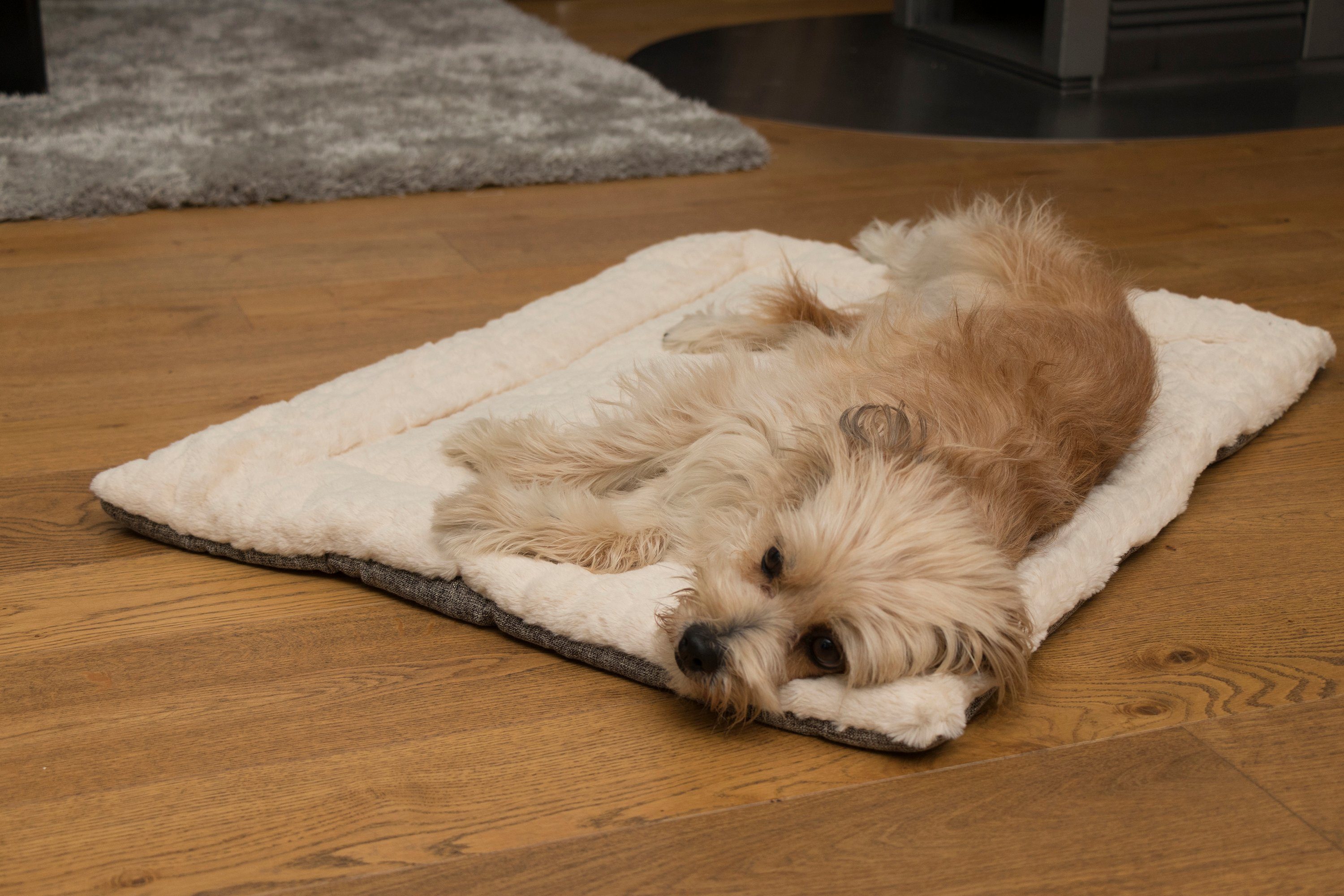 TrendPet Tierdecke Hundedecke 