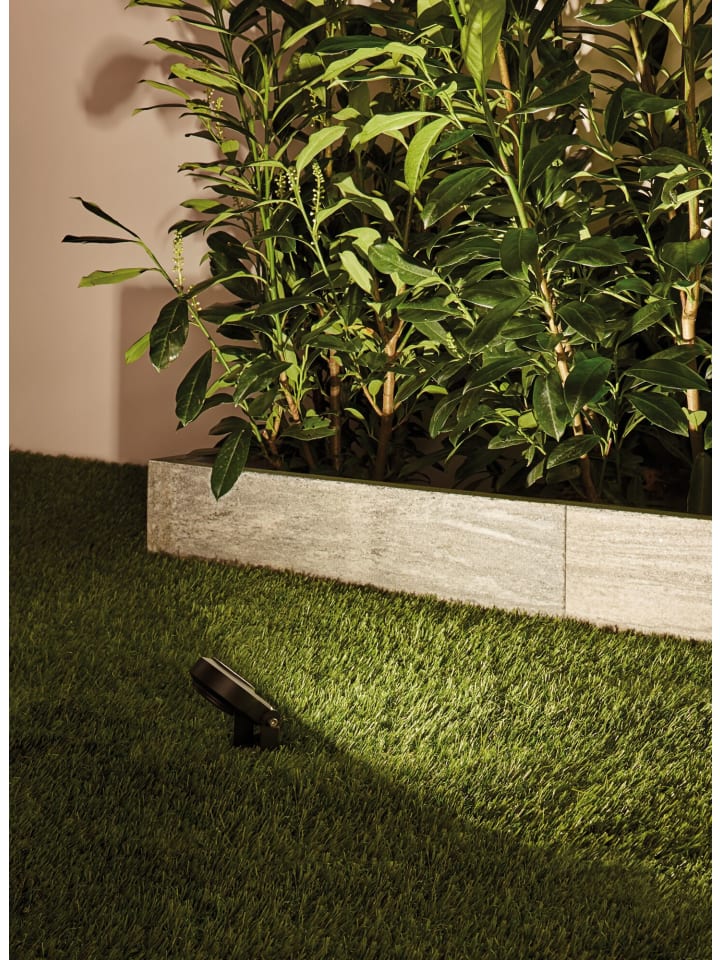 paulmann Bundle Plug & Shine LED Gartenstrahler Sting günstig kaufen onesize