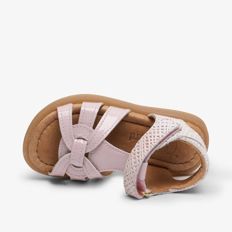 felicia baby rose square - Rose