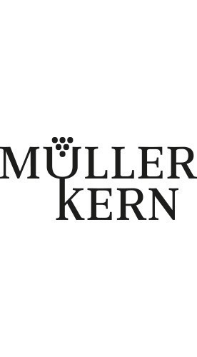 2021 Hambacher Pfaffengrund Weißburgunder KLEINER TRAUBENDIEB trocken - Weingut Müller-Kern
