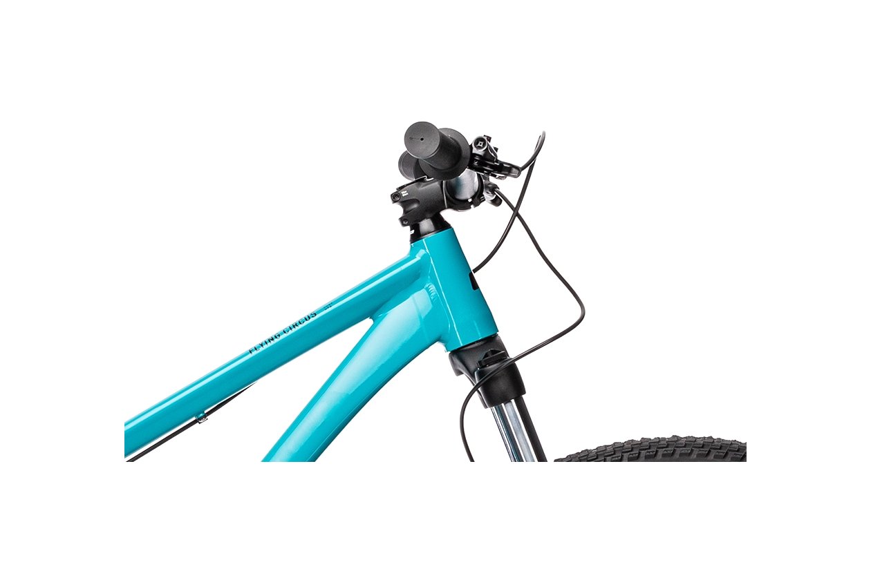Cube Flying Circus - 2021 - 26 Zoll - Dirt