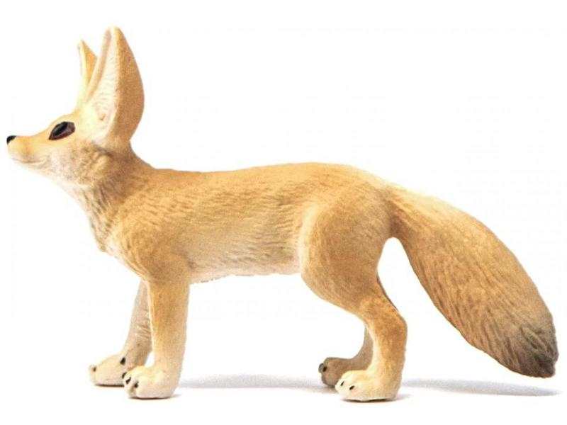 Fennec