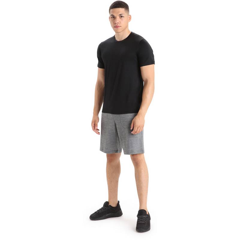 Icebreaker TECH LITE II Funktionsshirt Herren