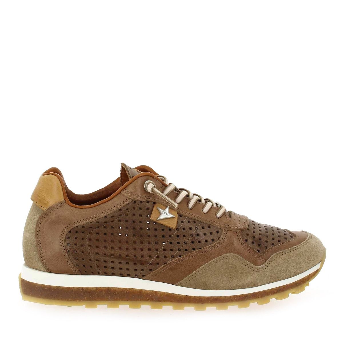 Cetti  C848 E23 - Camel