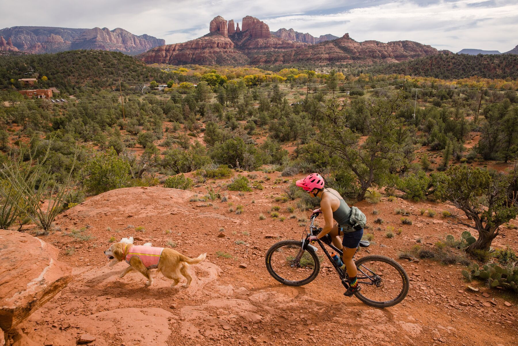 Ruffwear Hundewesten Ruffwear Swamp Cooler Zip™ Kühlweste für Hunde pink XS