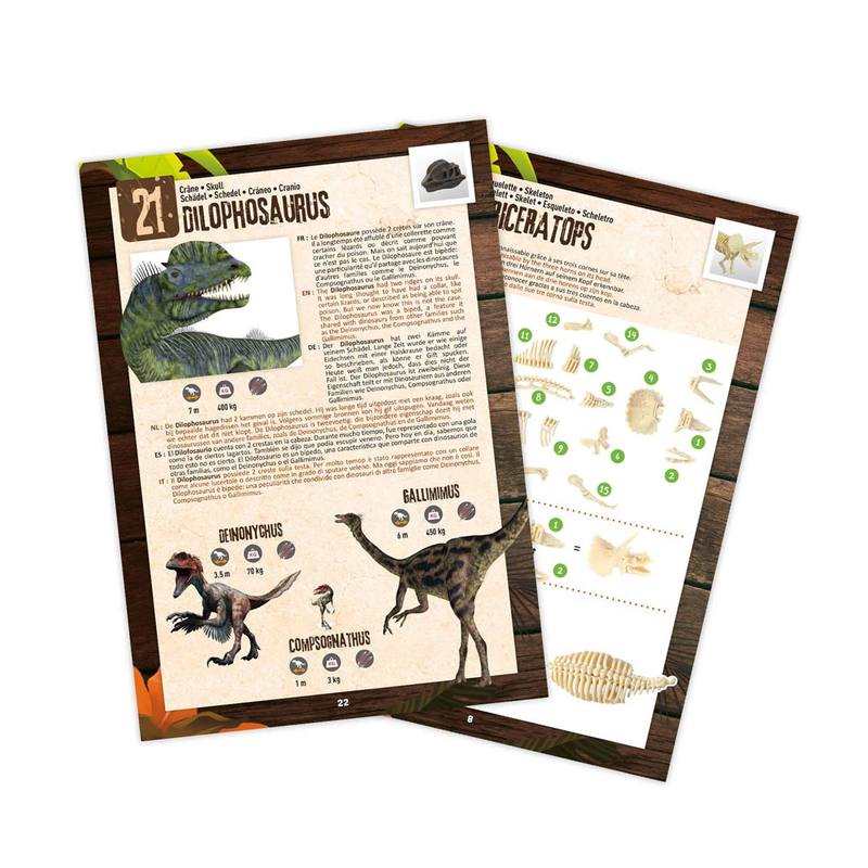 Dino surprise box Buki