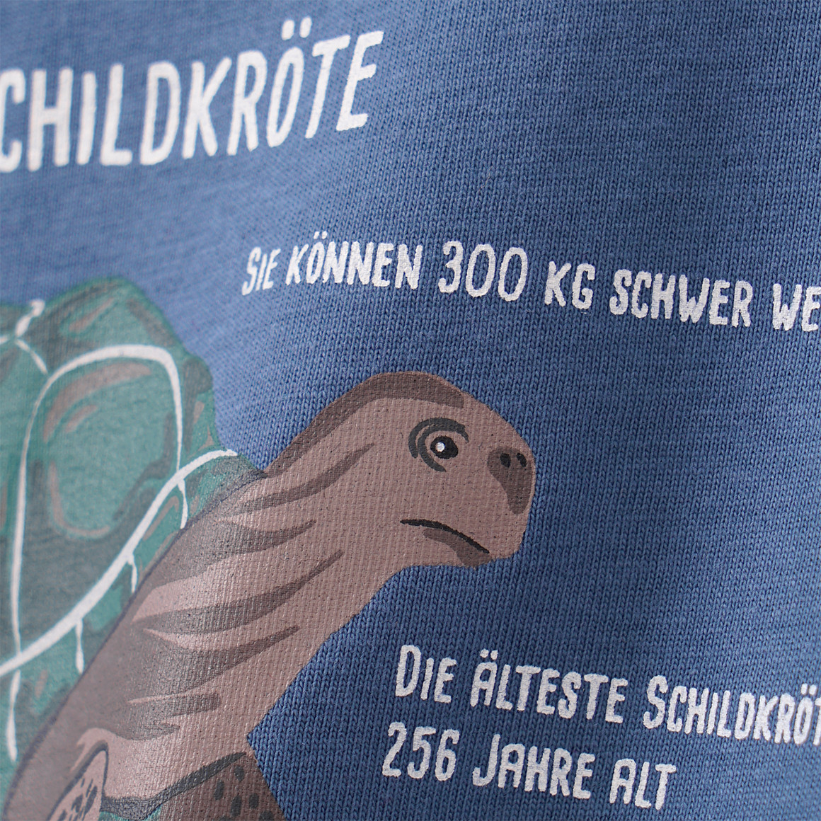 Baby Langarmshirt mit Schildkröten-Print