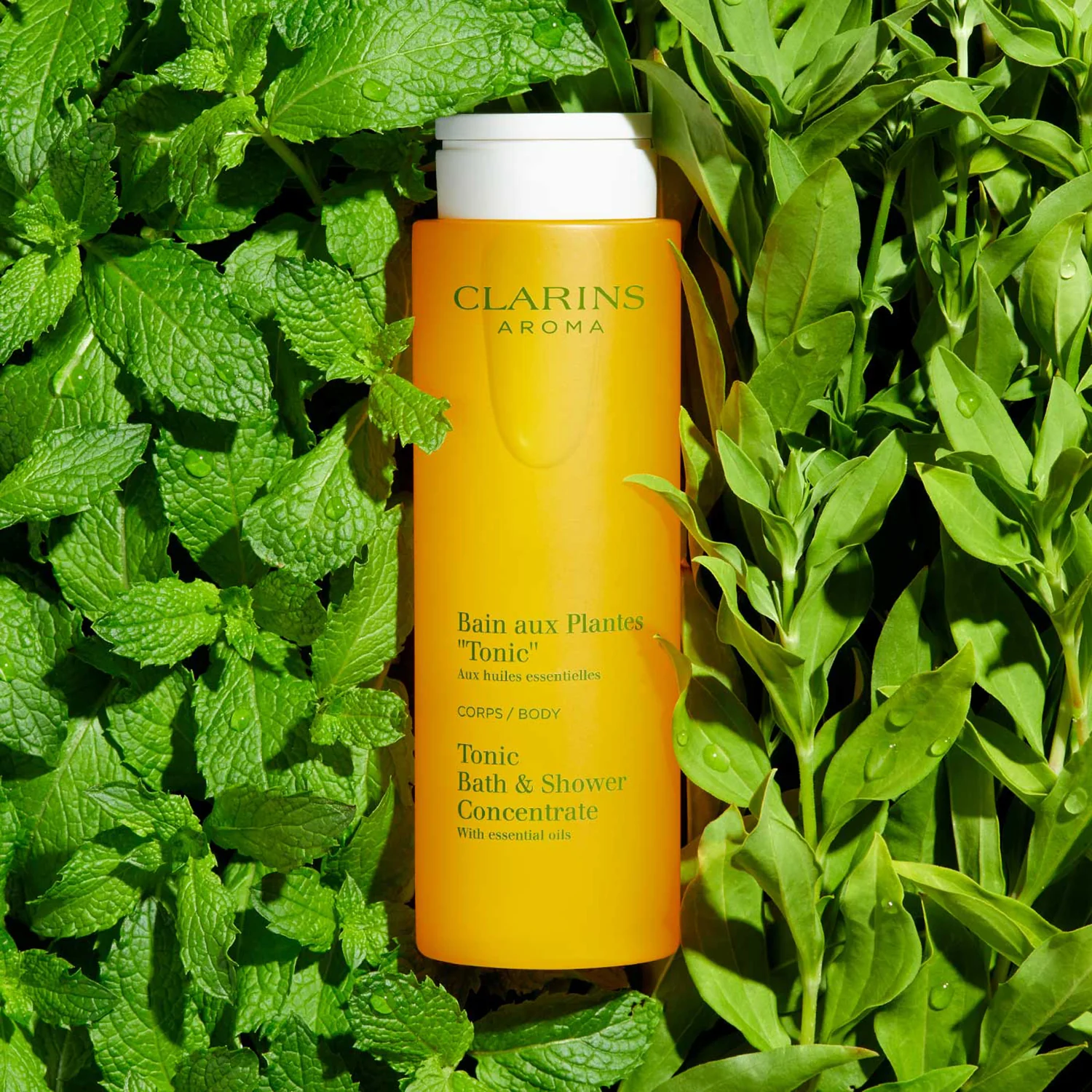 Aroma Bain aux Plantes „Tonic“ – Bad und Dusche