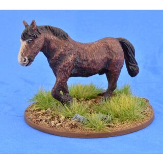 Shaggy Pony (Bareback)