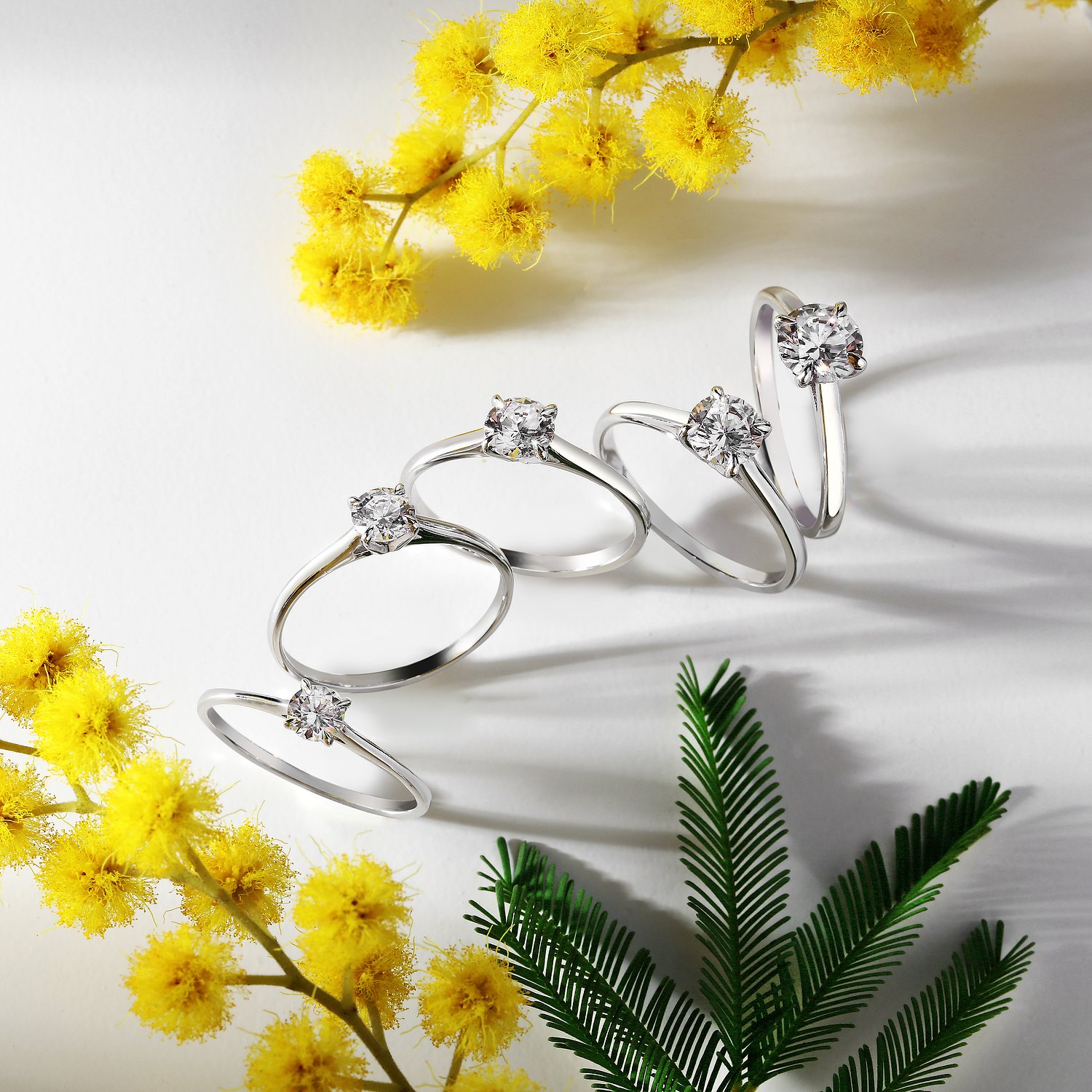 Bagues de diamantes vivos o blancos