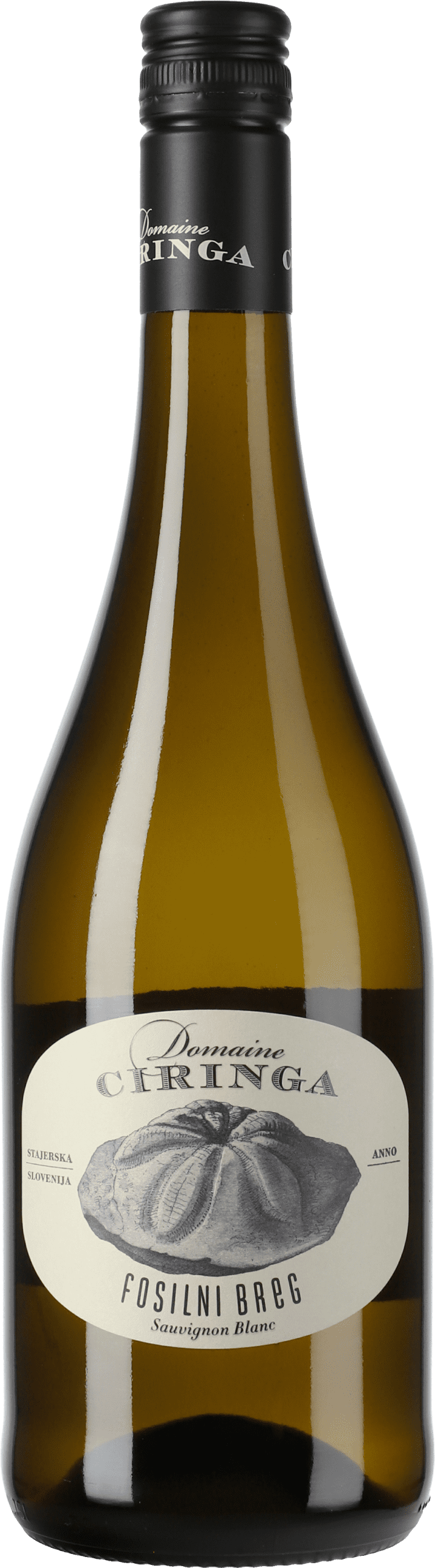 Tement: Sauvignon Blanc Fosilni Breg Domaine Ciringa 2021