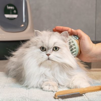 kooa Massagebürste für Katzen