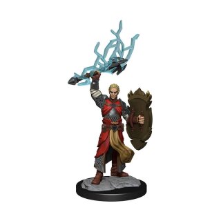 D&D Nolzur's Marvelous Miniatures - Half-Elf Paladin Male