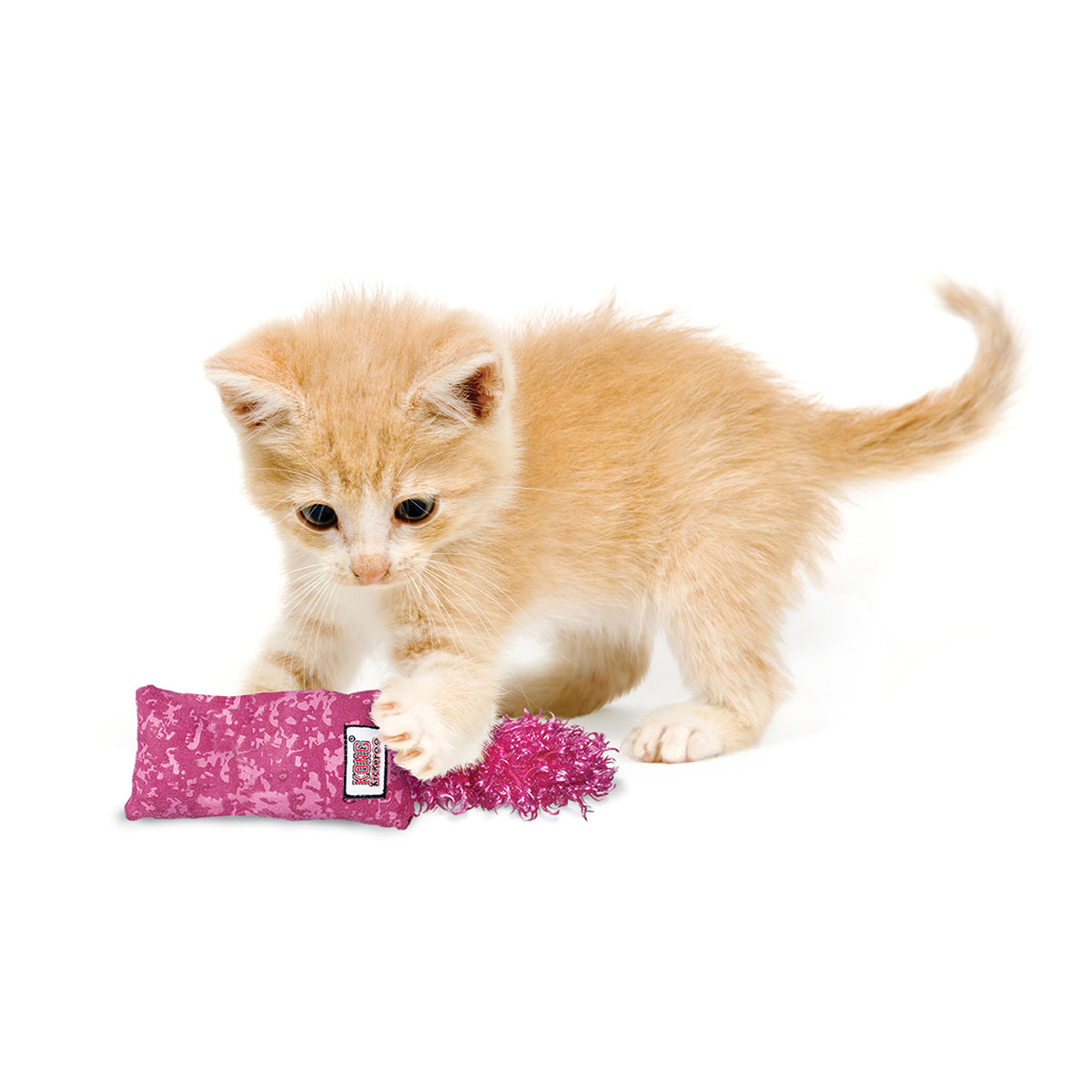 KONG Katzenspielzeug Kickeroo Kitten günstig kaufen