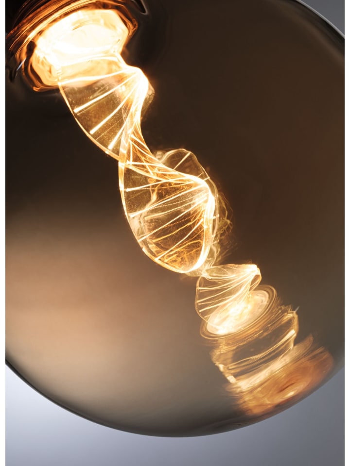 paulmann Inner Glow Edition LED Globe Helix günstig kaufen onesize