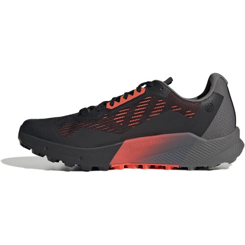 HERREN TRAILRUNNINGSCHUHE TERREX AGRAVIC FLOW 2 GTX