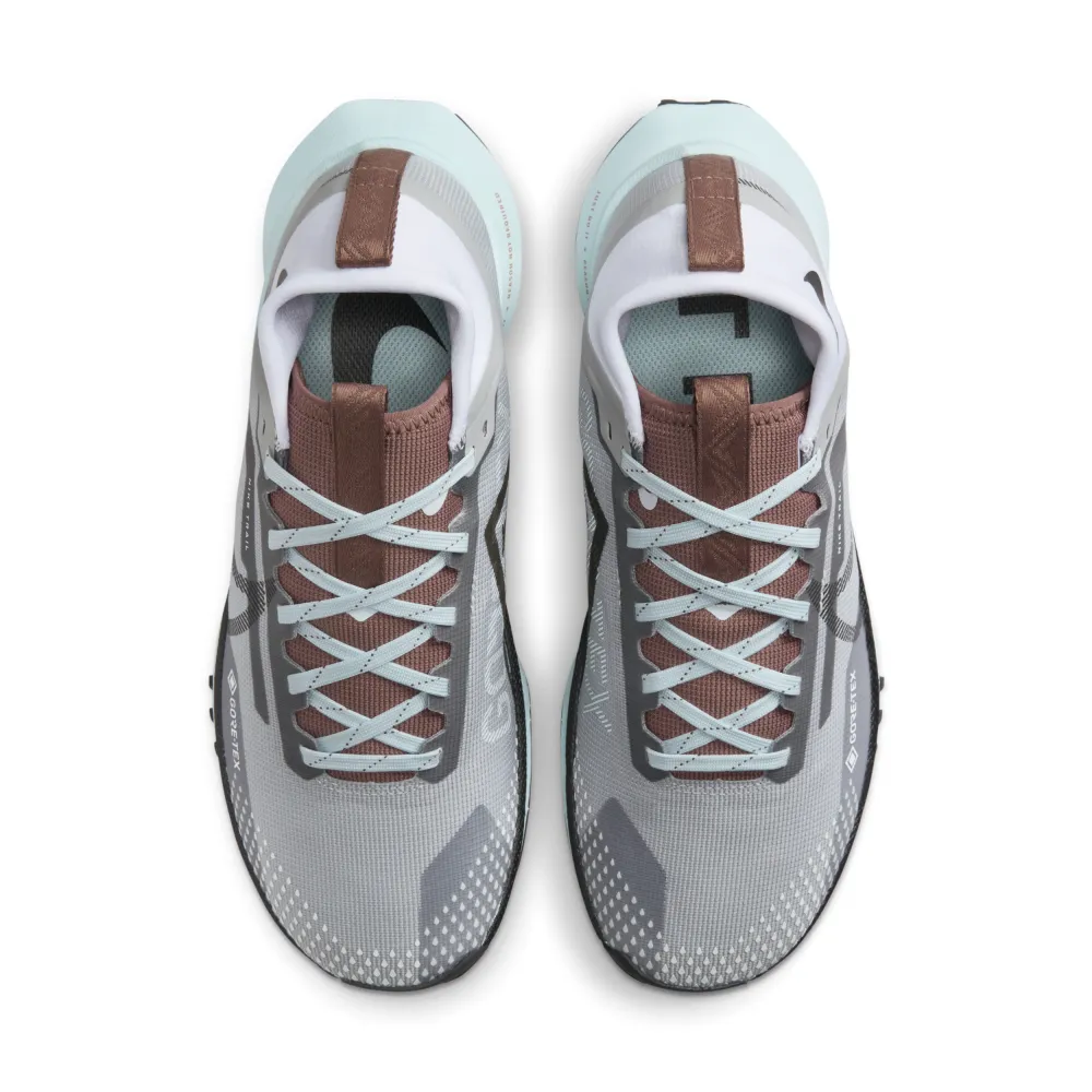 Nike Pegasus Trail 4 GORE TEX DJ7929 005 / grau