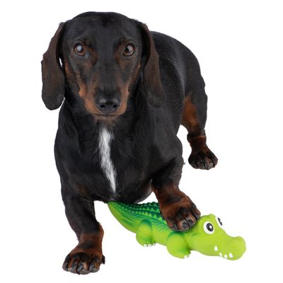 Hundespielzeug Latex Crocodylus