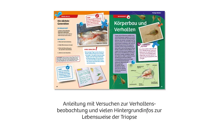KOSMOS - Triops-Welt - Leben aus der Urzeit