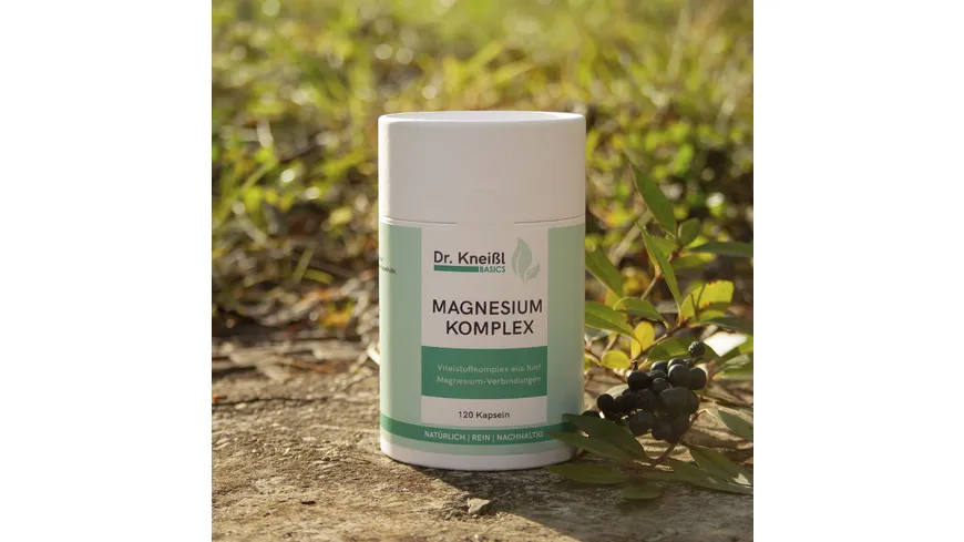 Dr.Kneißl Basics Magnesium Komplex 116 g