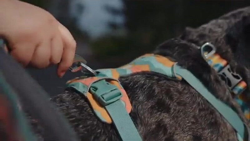 Ruffwear Hundegeschirr Front Range&reg; neues Modell