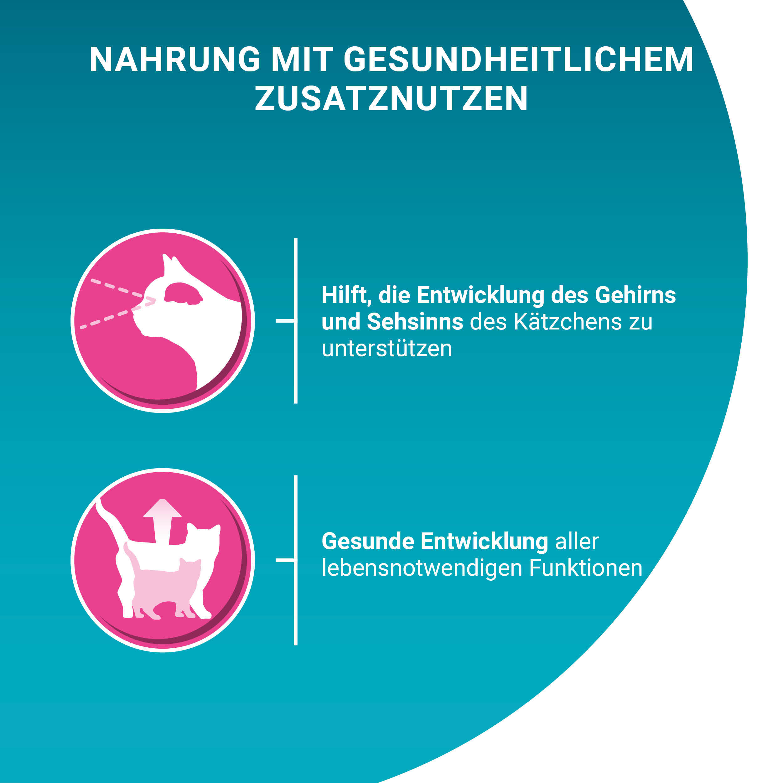Purina ONE Nassfutter Purina ONE Junior Kittenfutter nass zarte Stückchen in Sauce Lachs 48x85g