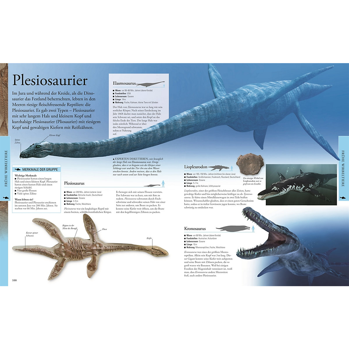 Dinosaurier und andere Tiere der Urzeit für clevere Kids