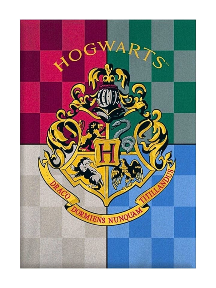 Harry Potter Fleecedecke Harry Potter  - (L) 140 cm x (B) 100 cm in Bunt günstig kaufen 140