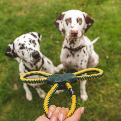 Nomad Tales Spirit Boomerang-Seil