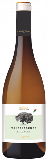 2022 Valdelagunde Cuvée Especial V.T. Castilla y León trocken - Bodegas Pedro Escudero