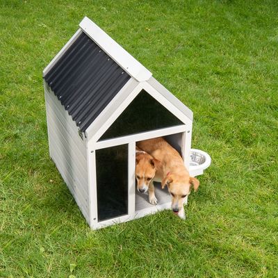 Modern Living Hundehütte Amsterdam