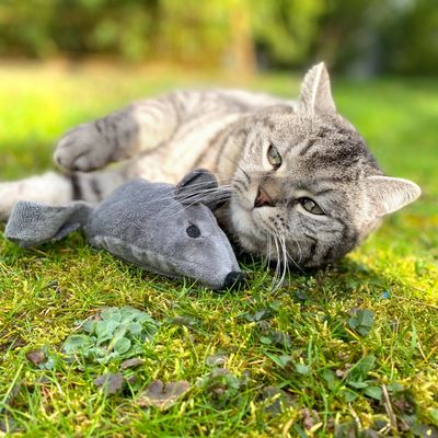 Aumüller Katzenspielzeug Baldi-Maus