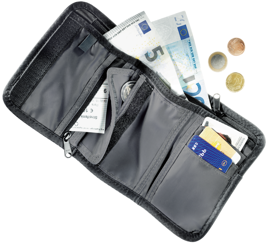 Travel Wallet