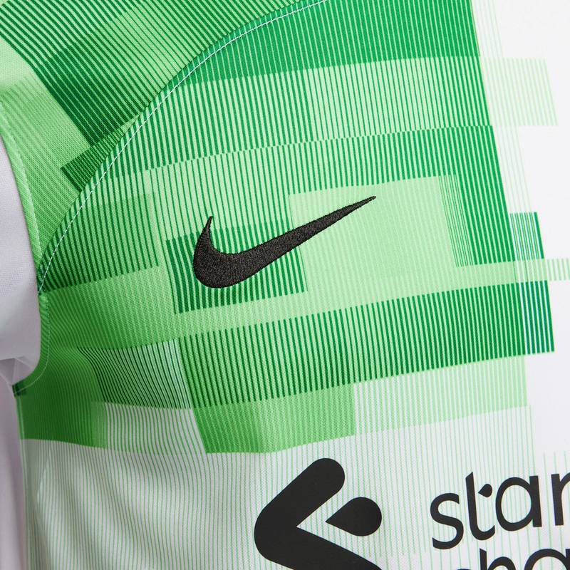 Nike FC Liverpool 23-24 Auswrts Teamtrikot Herren