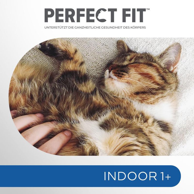 Perfect Fit Indoor 1+ Reich an Rind zu TOP-Preisen