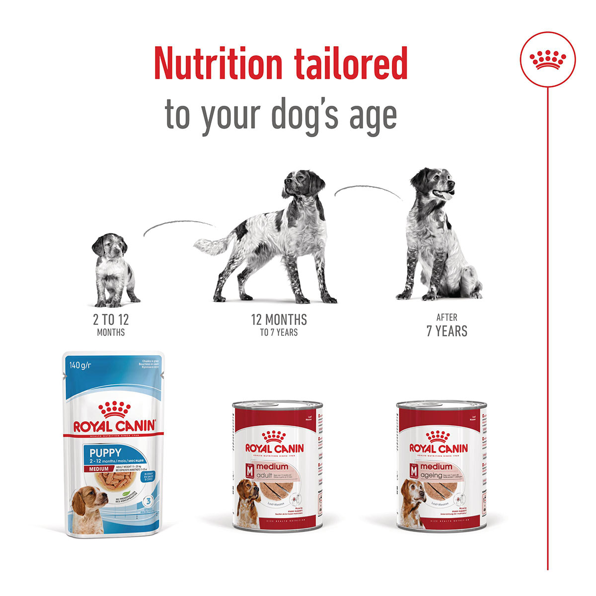Royal Canin SHN Medium Adult Loaf Can günstig kaufen bei ZooRoyal