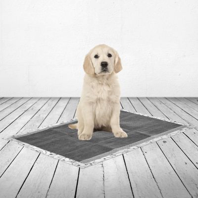 Savic Puppy Trainer Pads mit Aktivkohle
