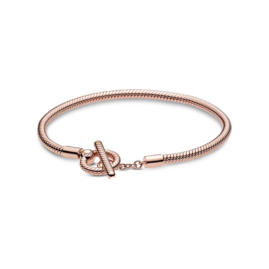 Pandora Armband Moments
