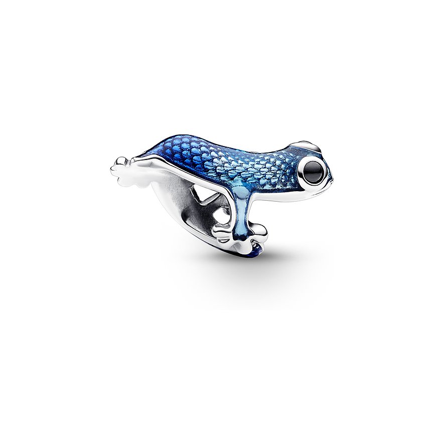 Pandora Charm Moments