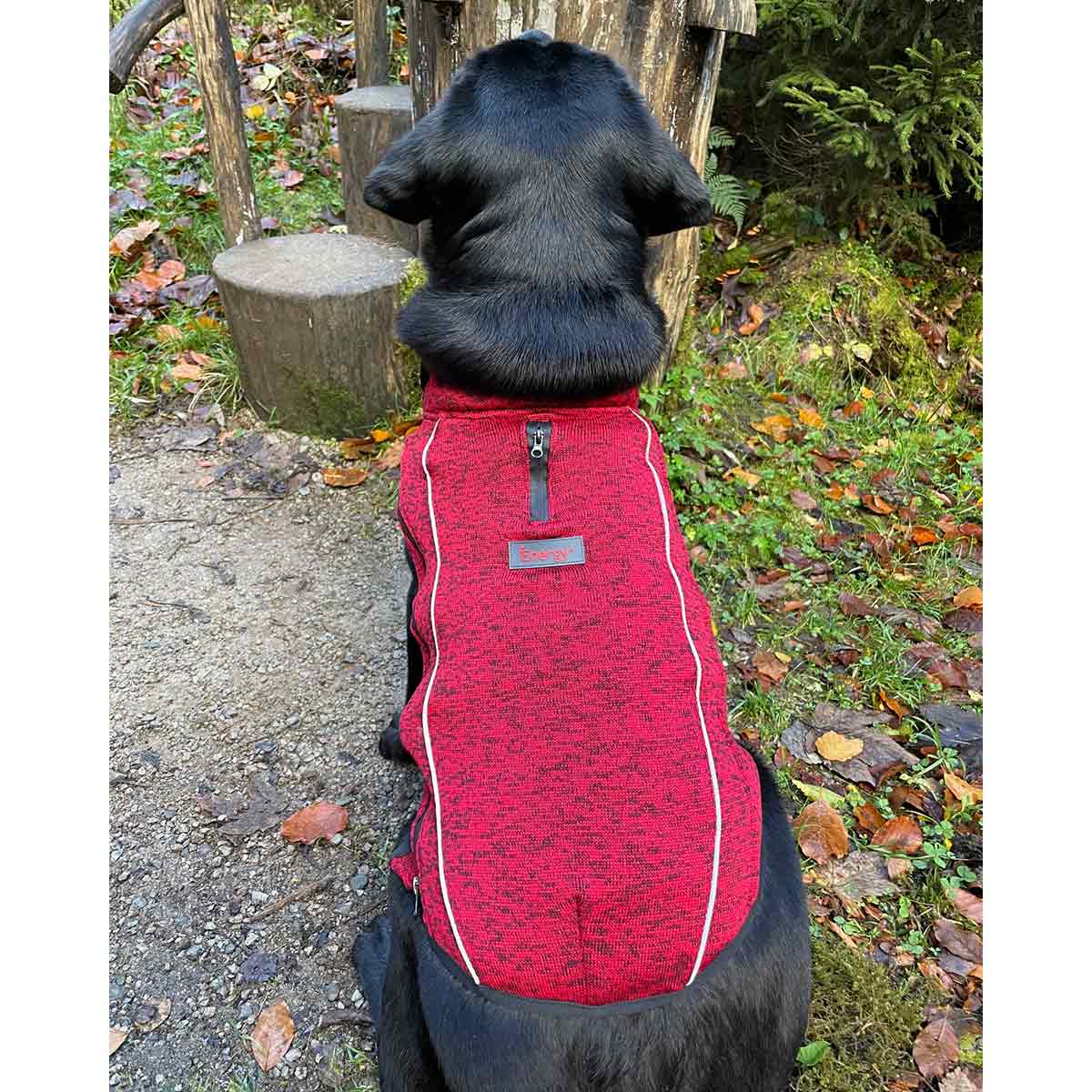 iEnergy OSC isolierende Outdoor-Hundejacke kaufen bei ZooRoyal