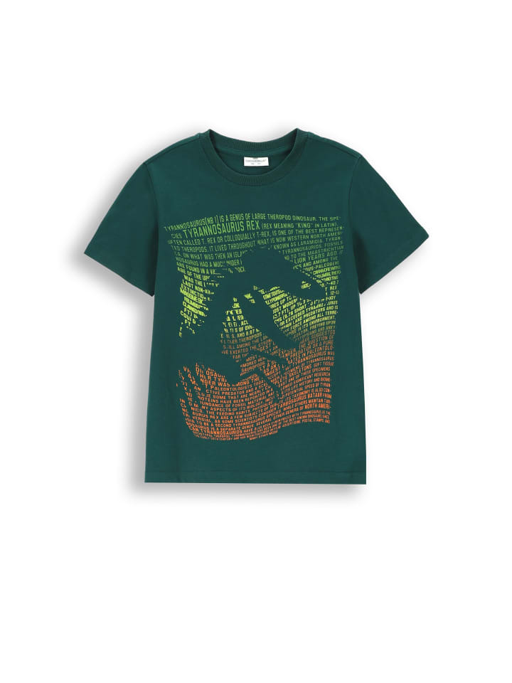 Coccodrillo T-Shirt mit kurzen Ärmeln in grün günstig kaufen