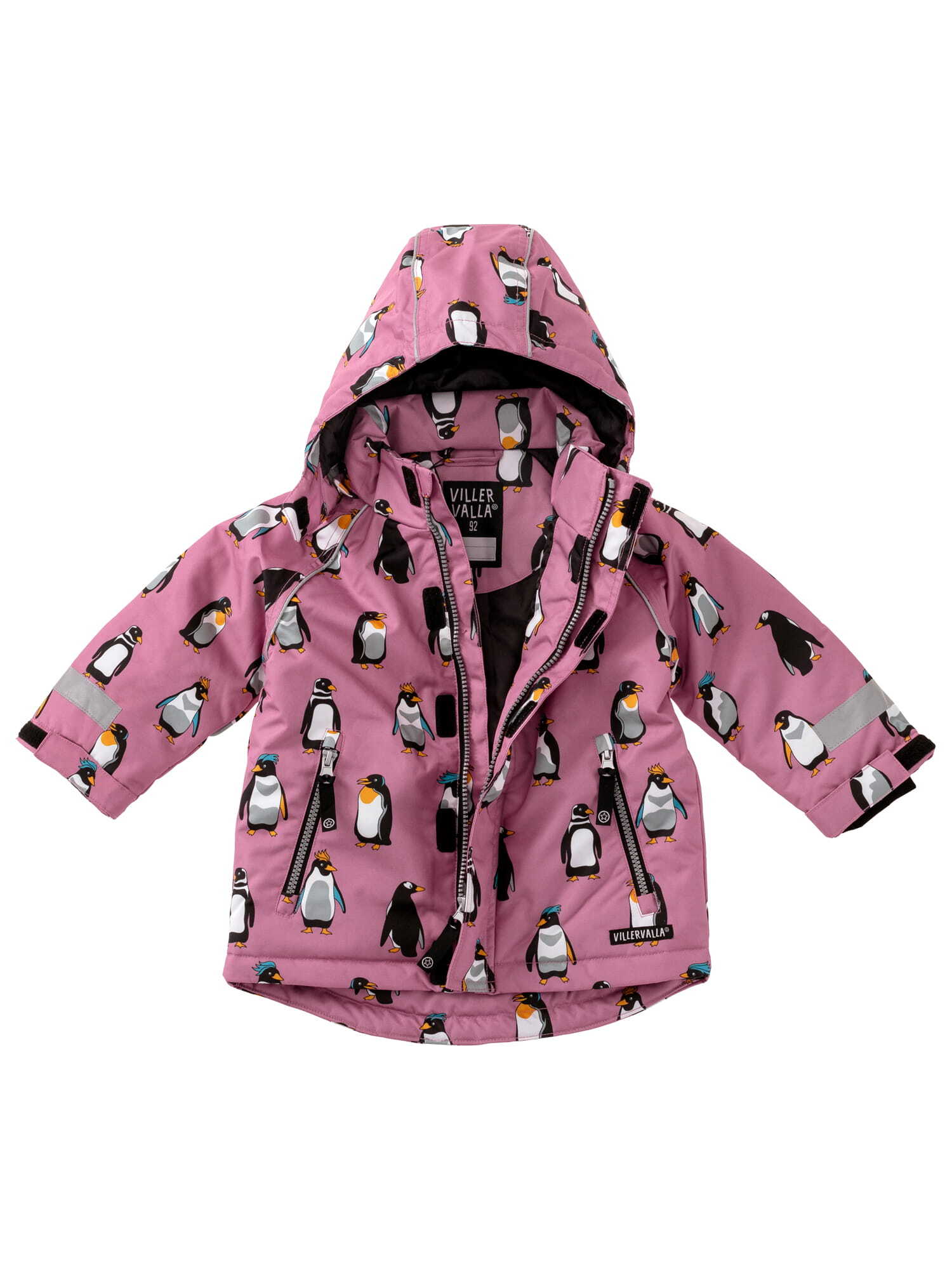 Winter Jacket
