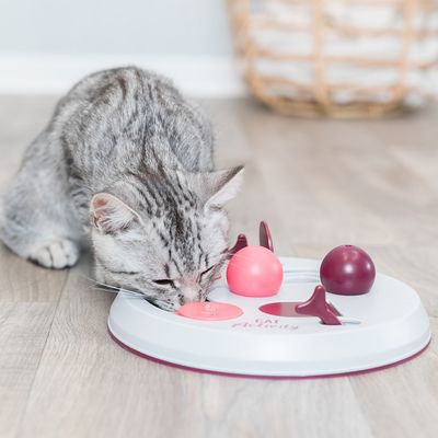 Trixie Cat Activity Flip Board