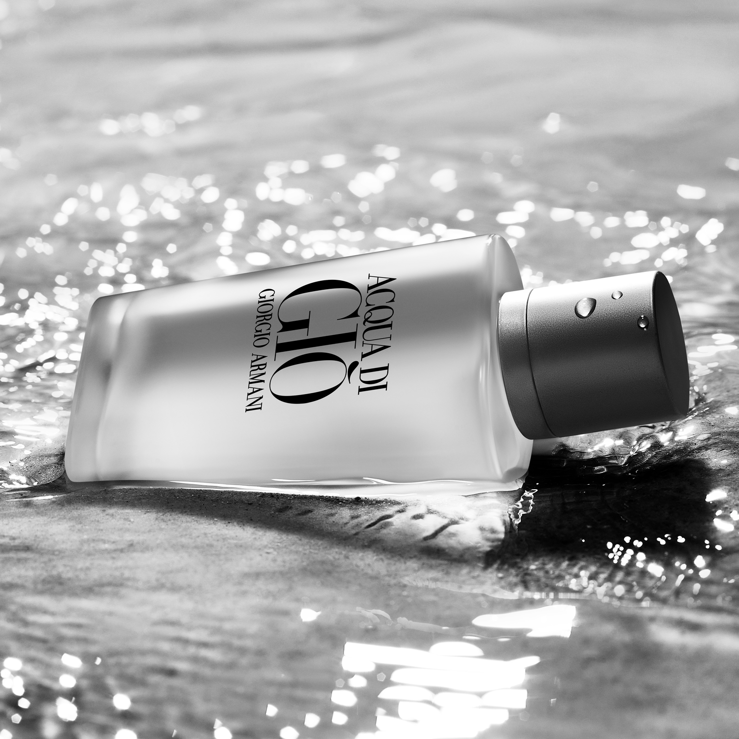 Giorgio Armani Acqua di Giò pour Homme Eau de Toilette