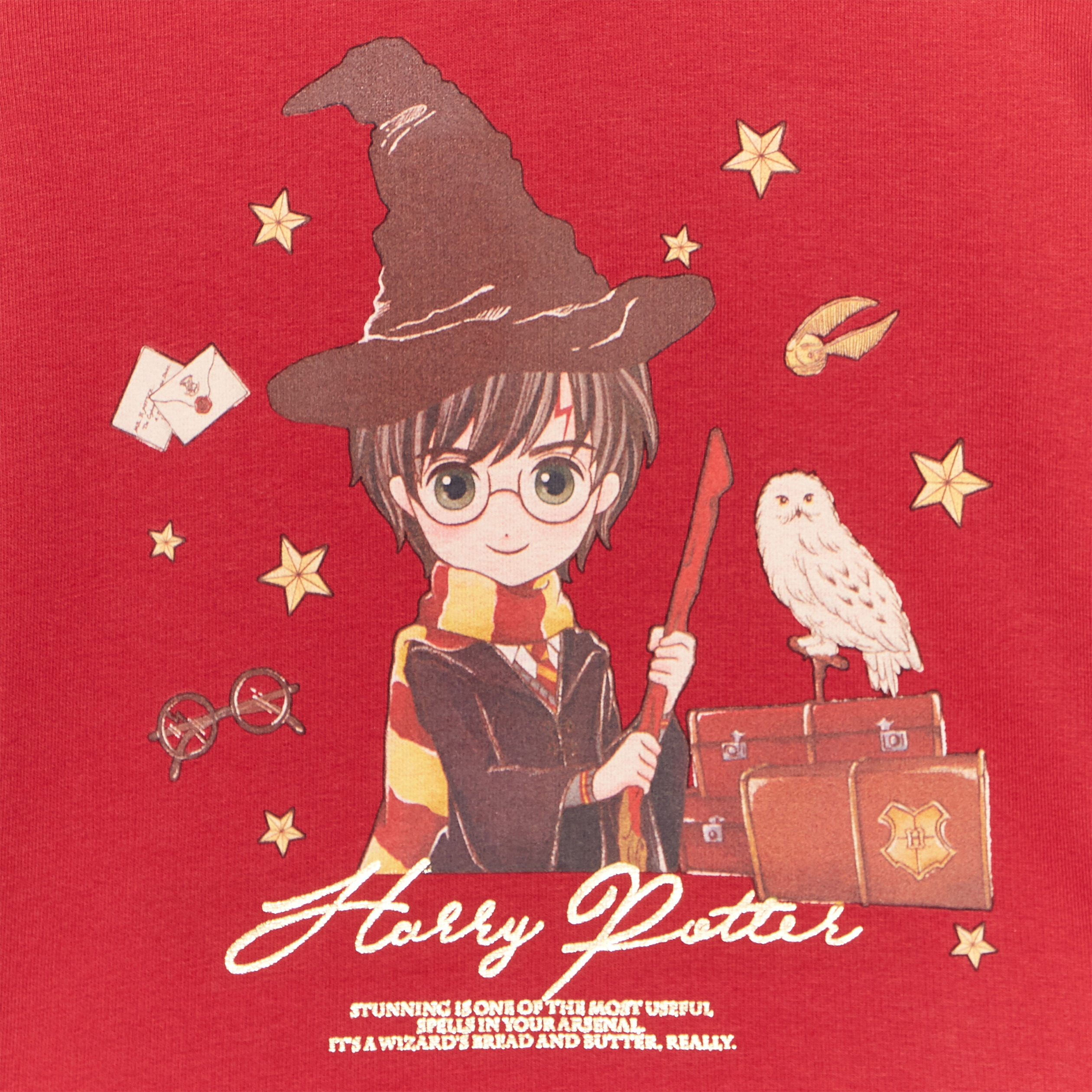 Sweat à capuche hoodie Harry Potter bordeaux fille | La Halle