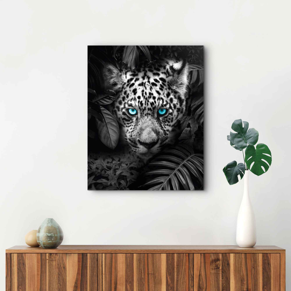 Bild Blue Eyed Leopard